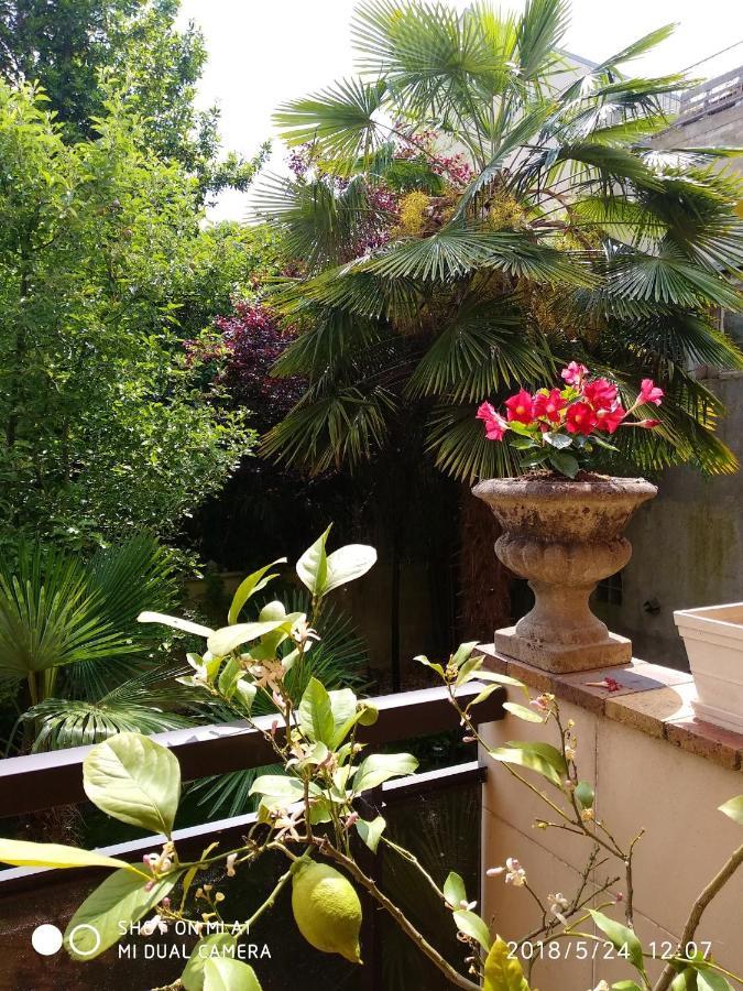 Appartement Charmant A Alfortville 30M² Terrasse Et Jardin מראה חיצוני תמונה